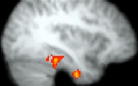 Figure 1: Scans of brain activity during reading show heightened electrical activity when faced with 'challenging' texts by great writers