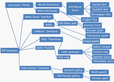 Figure 2 :"Five" in different Indo-European languages.