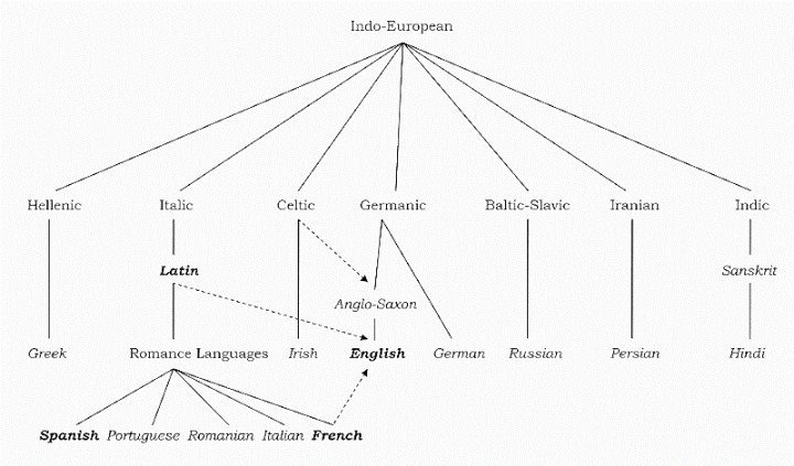 Figure 1: 英语在印欧语系中的位置